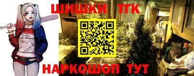 гашик Кулебаки