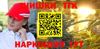 гашик Кулебаки